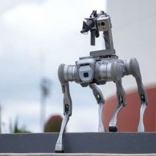 perro robot zacatecas