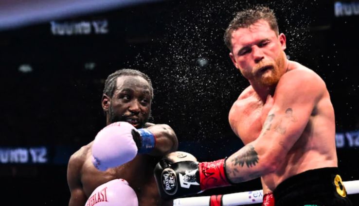 CANELO.jpg