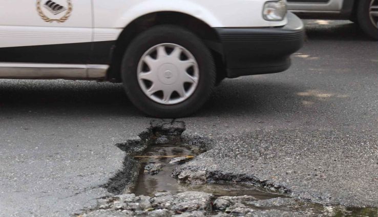 Baches