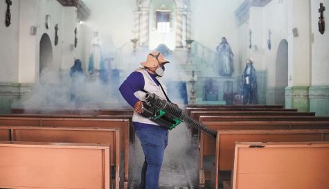 dengue.jpg