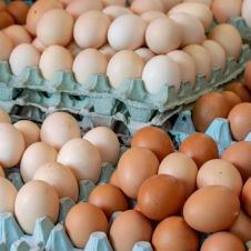 Canasta básica, Cuernavaca