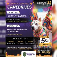 caminata-canebrijes.jpg