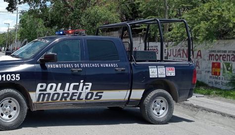 pollo