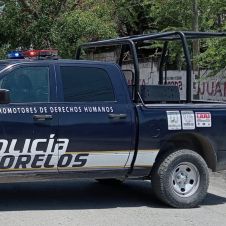 pollo