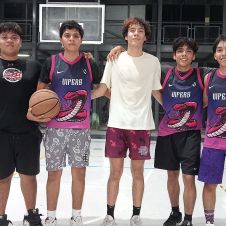 Vipers 
