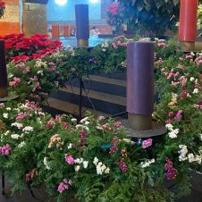 Año Litúrgico 2025-2026