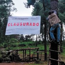 Fueron clausurados 3 predios en el paraje San Nicolás, en Tetela del Volcán