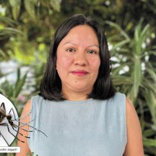 Sube la aten­ción ante alza de den­gue en Morelos