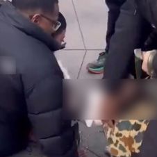 PITBULL NEW YORK.jpg