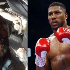Boxeador