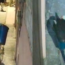 VIDEO EVIDENCIA ROBO DE BOTE DE BASURA