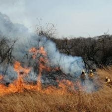 incendios