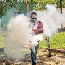 Se reducen estadísticas de dengue en Morelos