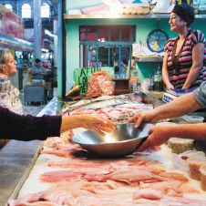 Recomienda Agricultura consumir alimentos de temporada ante la cuesta de enero
