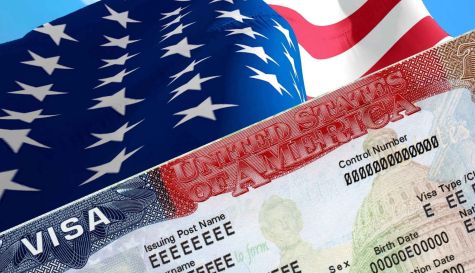 4031_visa.jpg