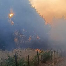 incendio-chile.jpg