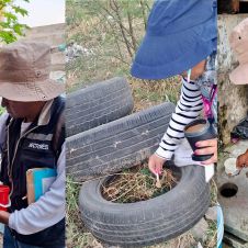 Secretaría Municipal de Bienestar Sustentable