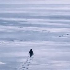 Diseño sin título (95).jpg