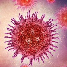 VIRUS NIPAH.jpg