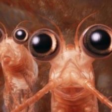 Diseño sin título - 2026-02-03T110118.339.jpg