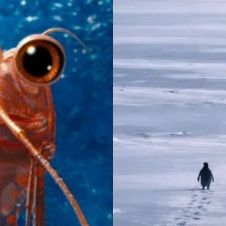 Diseño sin título - 2026-02-03T153306.188.jpg