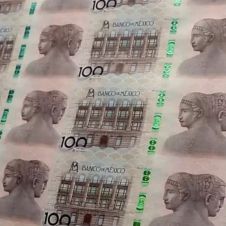 Diseño sin título - 2026-02-05T180811.741.jpg