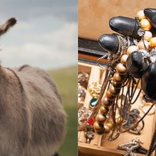 Diseño sin título - 2026-02-13T132741.379.jpg