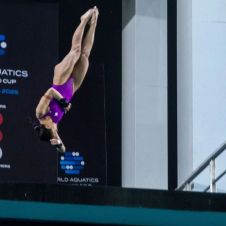 CLAVADOS GUADALAJARA.jpg