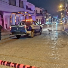 01 FEBRERO DEL 2026 (20).png