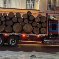 camion.jpg