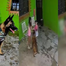 milo