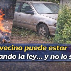 tu-vecino-ley-18mar26.jpg