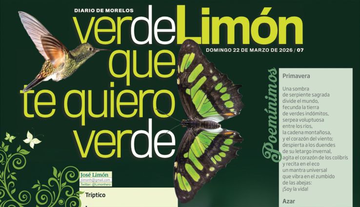 VERDE L.jpg