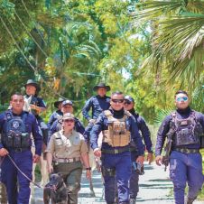seguridad