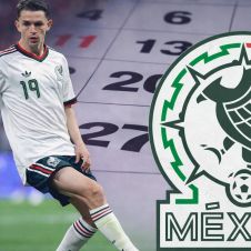 4204_seleccion.JPG