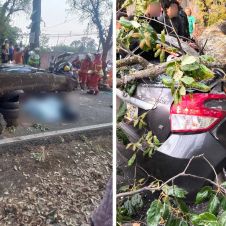 4216_accidente.jpg
