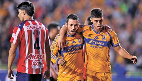 TIGRES-WEB.jpg