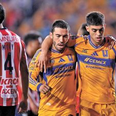 TIGRES-WEB.jpg