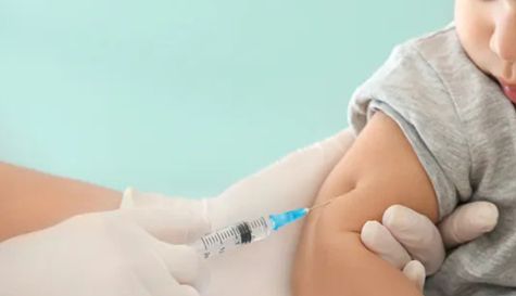 Diseño sin título - 2026-02-09T174432.017.jpg