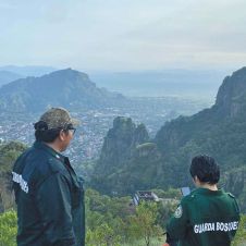 Además de proteger la integridad física de los asistentes al carnaval también se evitan posibles incendios.