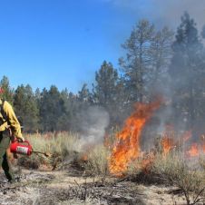 incendios