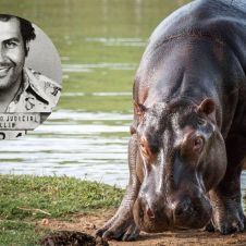 Diseño sin título (4).jpg