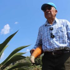 Producción de pulque en Huitzilac 