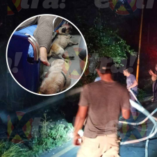 Diseño sin título (5)