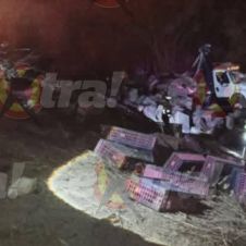 CAMIÓN CARGADO DE POLLOS