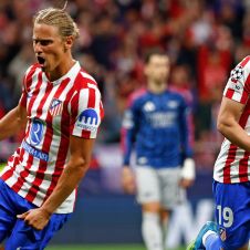 COLCHONEROS