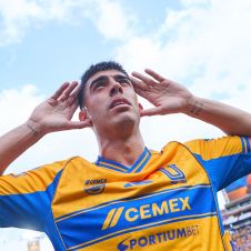 LIGUILLA