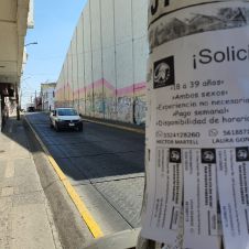 Propaganda en postes Morelos