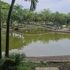 Mueren peces en Cuernavaca por negligencia municipal
