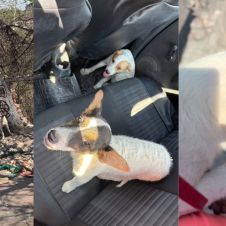 Rescate heroico en barranca de Cuernavaca